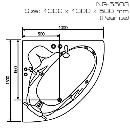 Bản vẽ kỹ thuật Bồn tắm massage Nofer NG-5503P