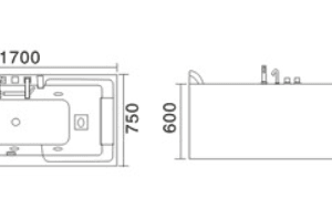 Bồn tắm massage TDO T-3011A